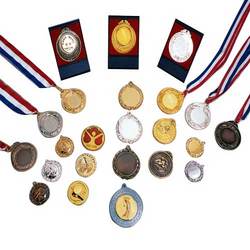 Manufacturers Exporters and Wholesale Suppliers of Medals And Badges Delhi Delhi